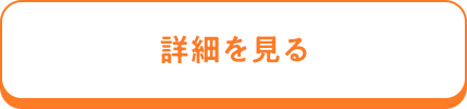 詳細を見る