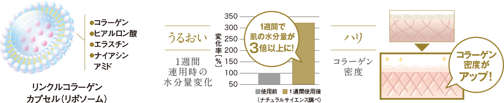 角層のすみずみまで美容成分が届き、長時間うるおいをキープ。