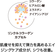 肌痩せを抑えて、弾力を高めるエイジングケア成分が、シワも改善。