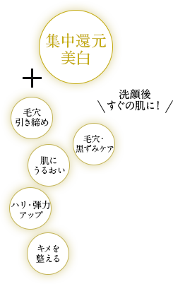 集中還元美白+シワ・たるみケア・毛穴の開きケア、透明感アップ、洗顔後のすぐの肌に!