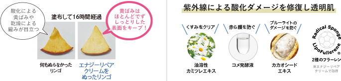 抗酸化成分や糖化・炎症ケア成分が肌の深部 まで届き、シミやくすみのもとをしっかりブロック。メラニンにも働きかけて、肌を明るくクリアに。