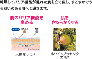 ăoA@\ꂽ𗧂ĒA₩ł邨̂锧ւƓ܂B
