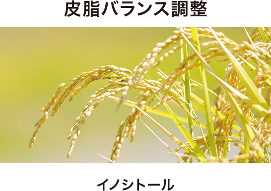 イノシトールで皮脂バランス調整