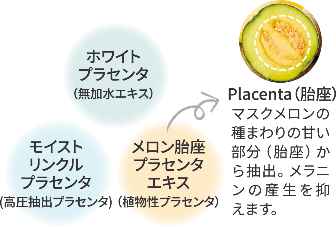 3種のプラセンタ【ホワイトプラセンタ／モイストリンクルプラセンタ／メロン胎座プラセンタエキス】