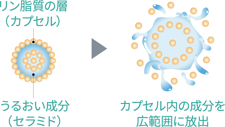 マイクロカプセル化ヒト型セラミドの図説