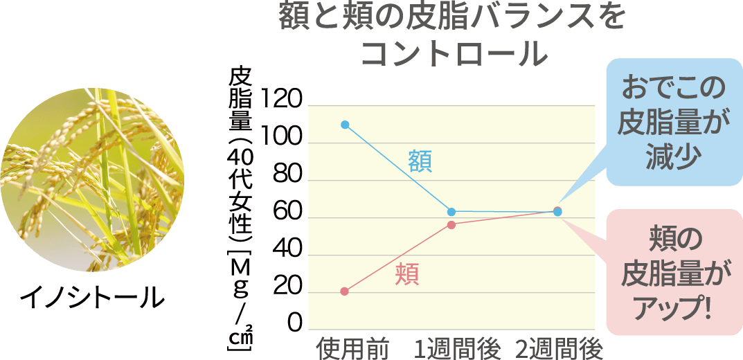 皮脂バランス調整の説明画像
