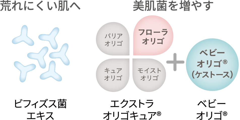美肌菌の説明画像