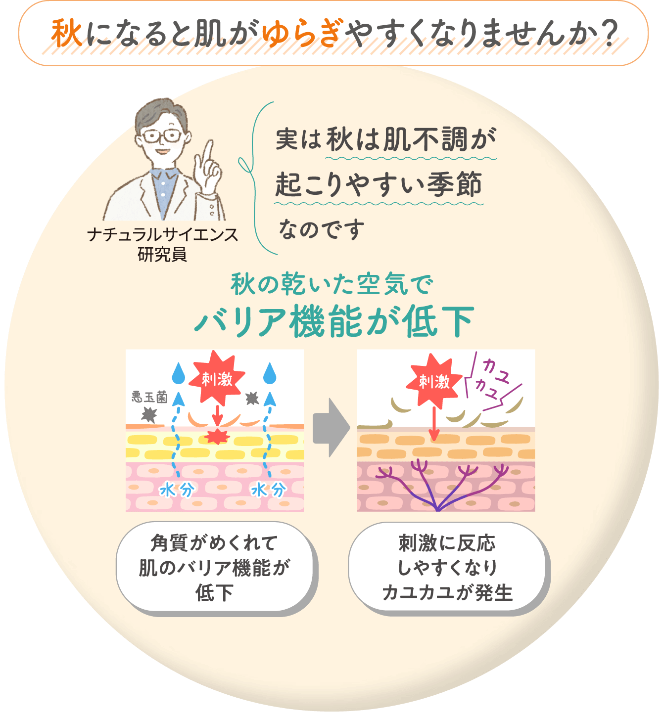 秋になると肌がゆらぎやすくなりませんか?実は秋は肌不調が起こりやすい季節なのです。秋の乾いた空気でバリア昨日が低下。角質がめくれて肌のバリア機能が低下。刺激に反応しやすくなりカユカユが発生