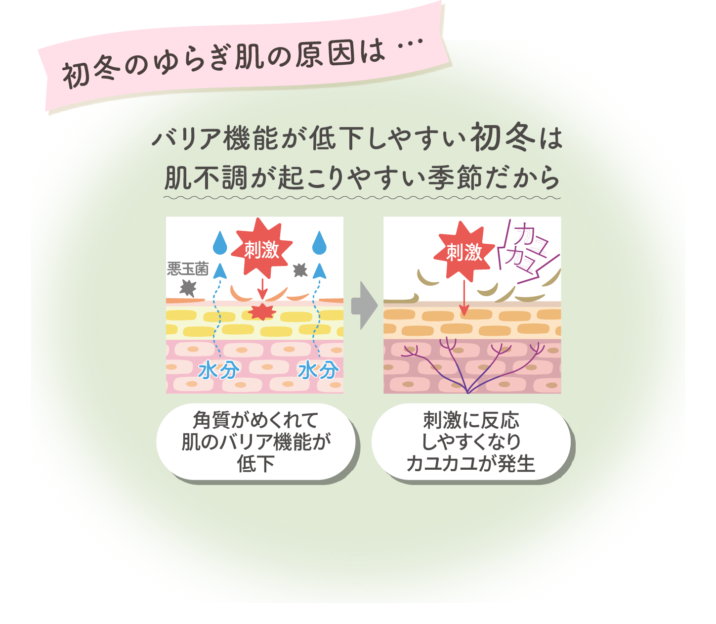 初冬のゆらぎ肌の原因は…バリア機能が低下しやすい初冬は肌不調が起こりやすい季節だから。角質がめくれて肌のバリア機能が低下→刺激に反応しやすくなりカユカユが発生