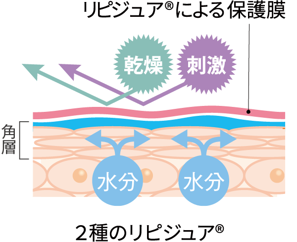 しっとりうるおい肌の説明画像