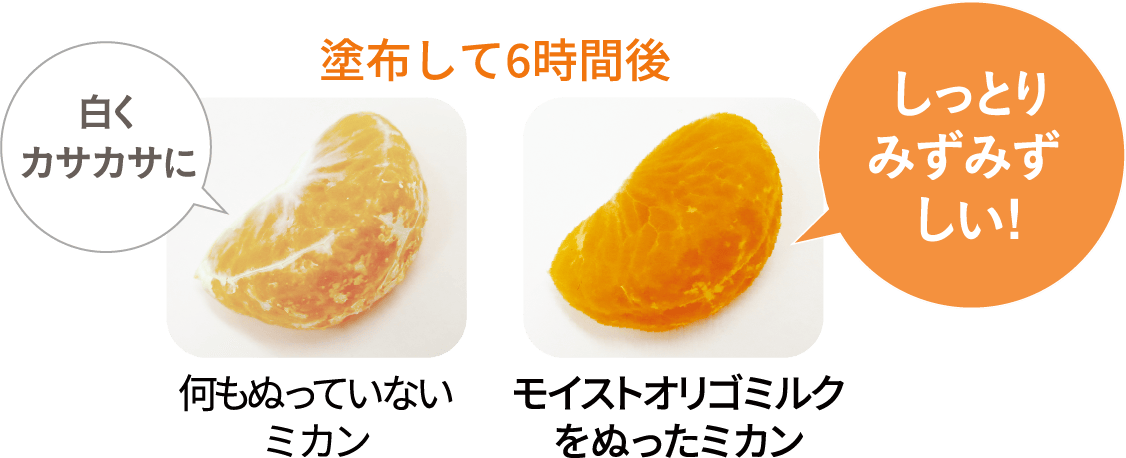 ミカンにモイストオリゴミルクを塗布して6時間後、何もぬっていないミカンは白くてカサカサに。モイストオリゴミルクをぬったミカンはしっとりみずみずしい!