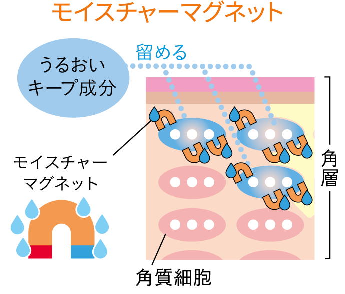 モイスチャーマグネット