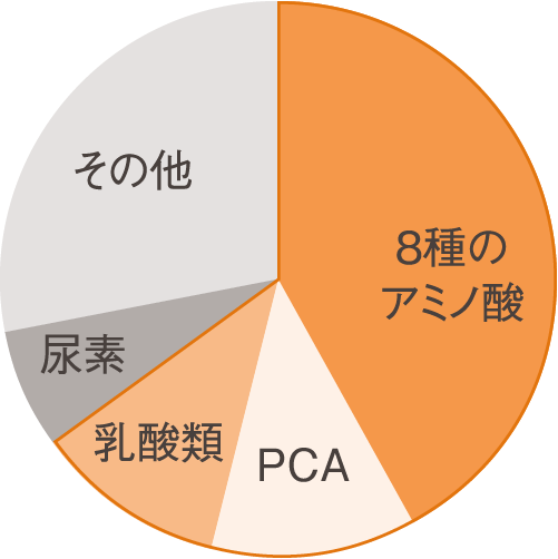 11種のNMF成分の図
