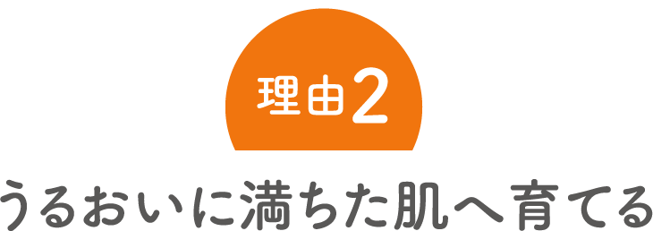理由2:うるおいに満ちた肌へ育てる