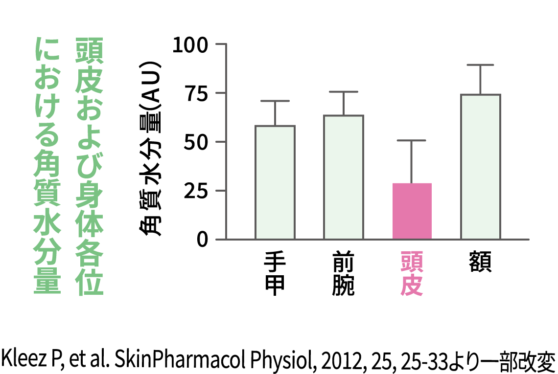頭皮および身体各位における角質水分量のグラフ