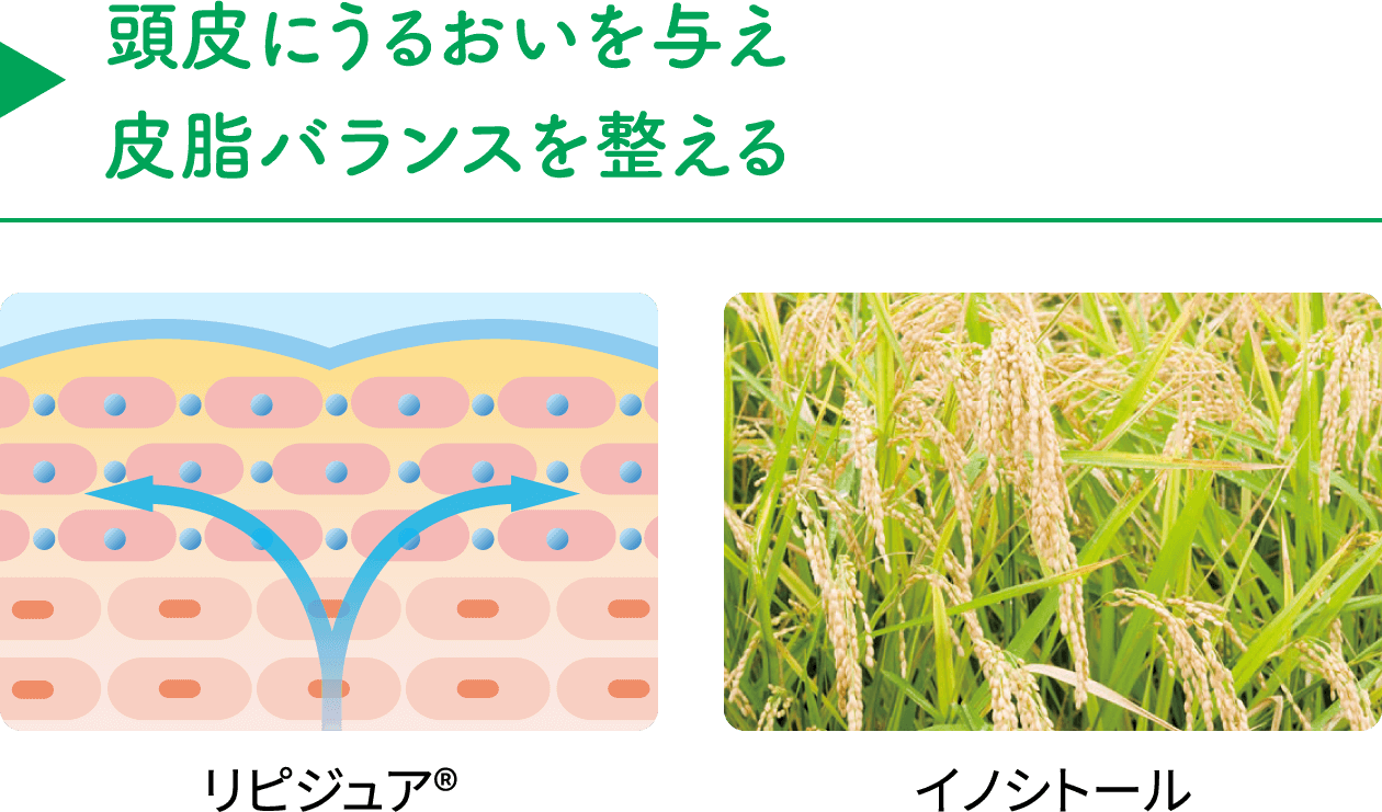 【頭皮にうるおいを与え皮脂バランスを整える】リピジュア®/イノシトール