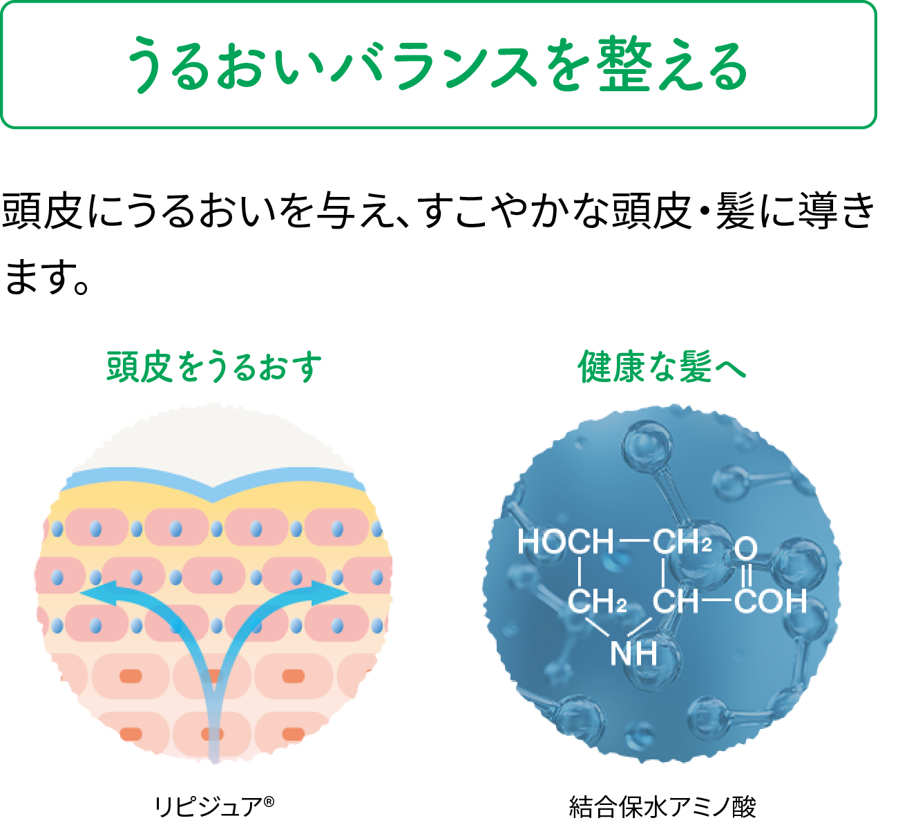 うるおいバランスを整える