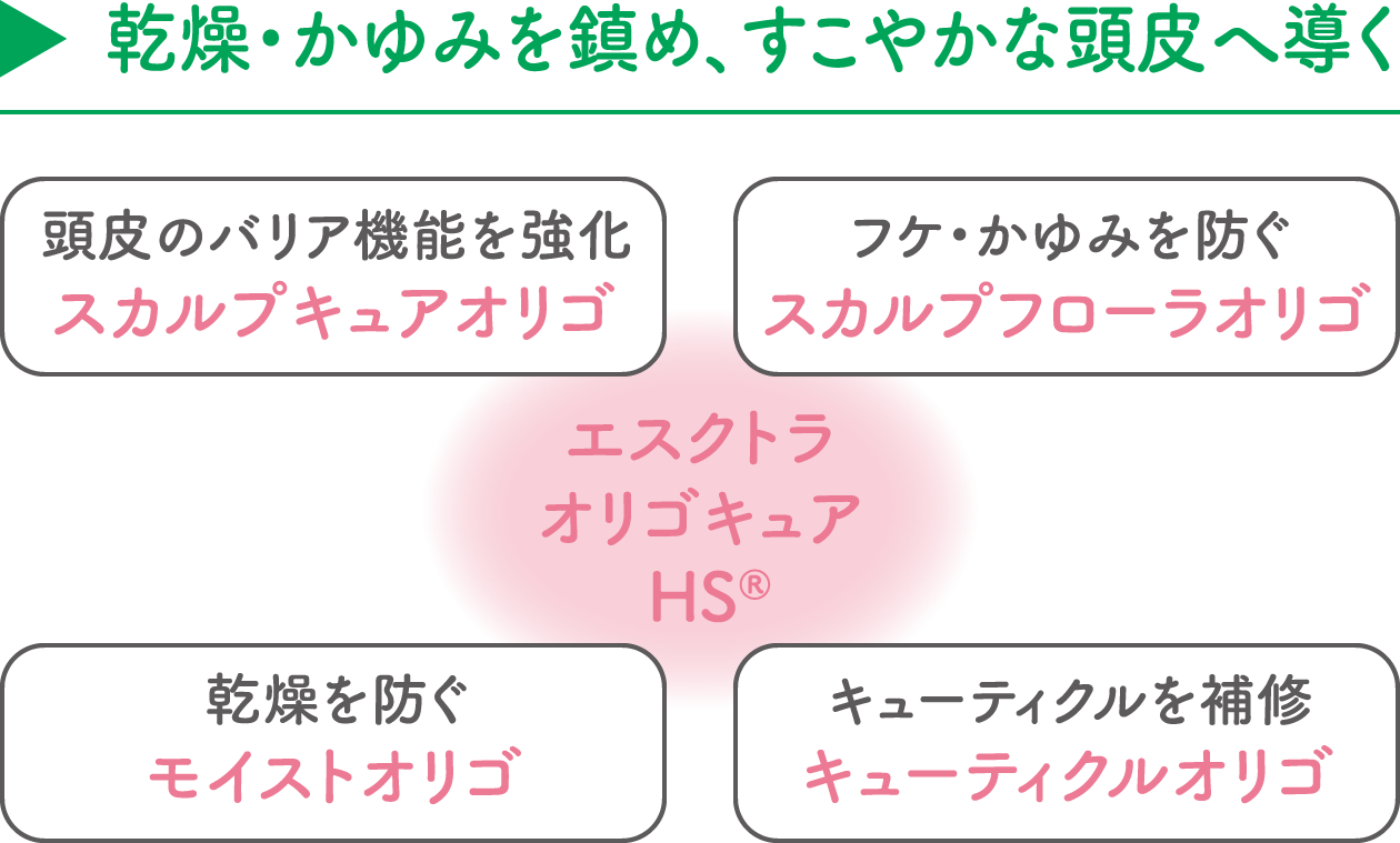 【乾燥・かゆみを鎮め、すこやかな頭皮へ導く】エスクトラオリゴキュアHS®(頭皮のバリア機能を強化「スカルプキュアオリゴ」/フケ・かゆみを防ぐ「スカルプフローラオリゴ」/乾燥を防ぐ「モイストオリゴ」/キューティクルを補修「キューティクルオリゴ」)