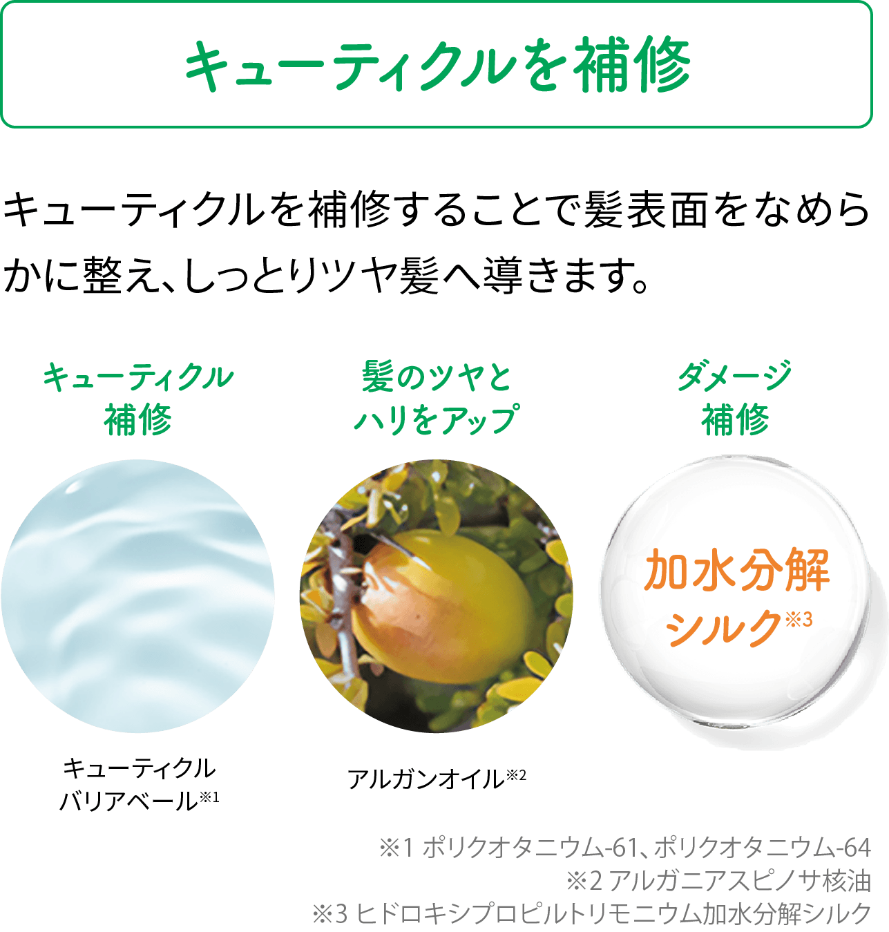 【乾燥・かゆみを鎮め、すこやかな頭皮へ導く】エスクトラオリゴキュアHS®（頭皮のバリア機能を強化「スカルプキュアオリゴ」／フケ・かゆみを防ぐ「スカルプフローラオリゴ」／乾燥を防ぐ「モイストオリゴ」／キューティクルを補修「キューティクルオリゴ」）