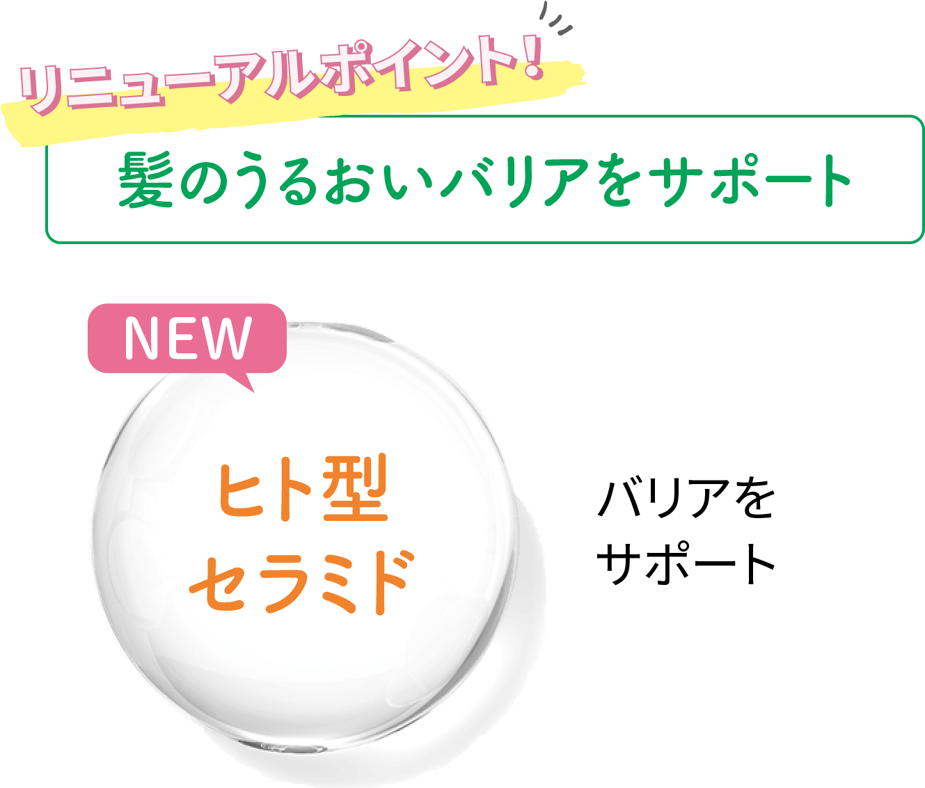 【乾燥・かゆみを鎮め、すこやかな頭皮へ導く】エスクトラオリゴキュアHS®（頭皮のバリア機能を強化「スカルプキュアオリゴ」／フケ・かゆみを防ぐ「スカルプフローラオリゴ」／乾燥を防ぐ「モイストオリゴ」／キューティクルを補修「キューティクルオリゴ」）