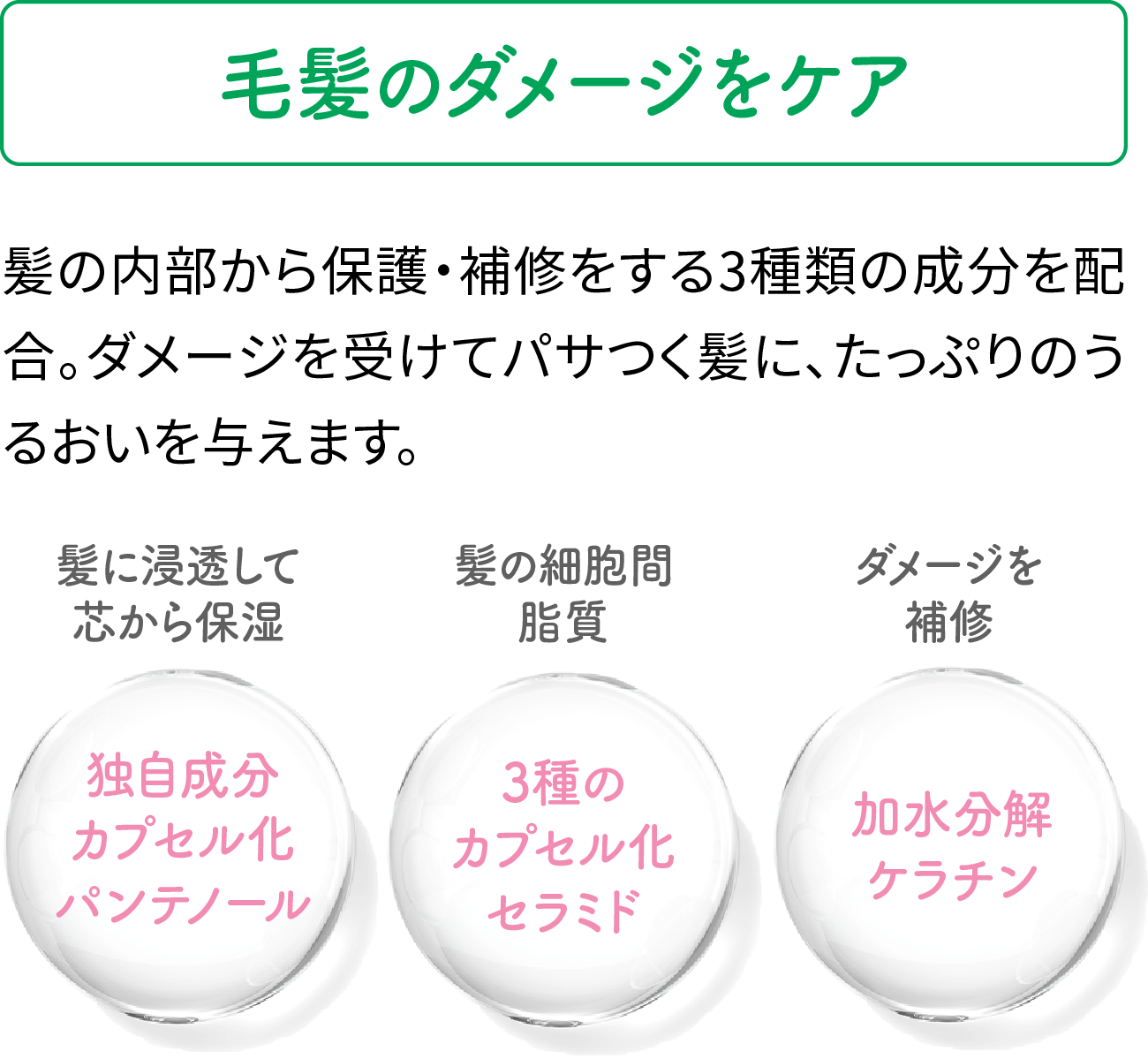 【毛髪のダメージをケア】髪の内部から保護・補修をする3種類の成分を配合。ダメージを受けてパサつく髪に、たっぷりのうるおいを与えます。（髪に浸透して芯から保湿「独自成分カプセル化パンテノール」／髪の細胞間脂質「3種のカプセル化セラミド」／ダメージを補修「加水分解ケラチン」）