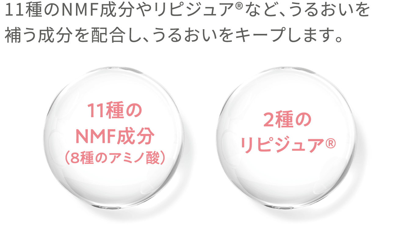 11種のNMF成分やリピジュア®など、うるおいを補う成分を配合し、うるおいをキープします。