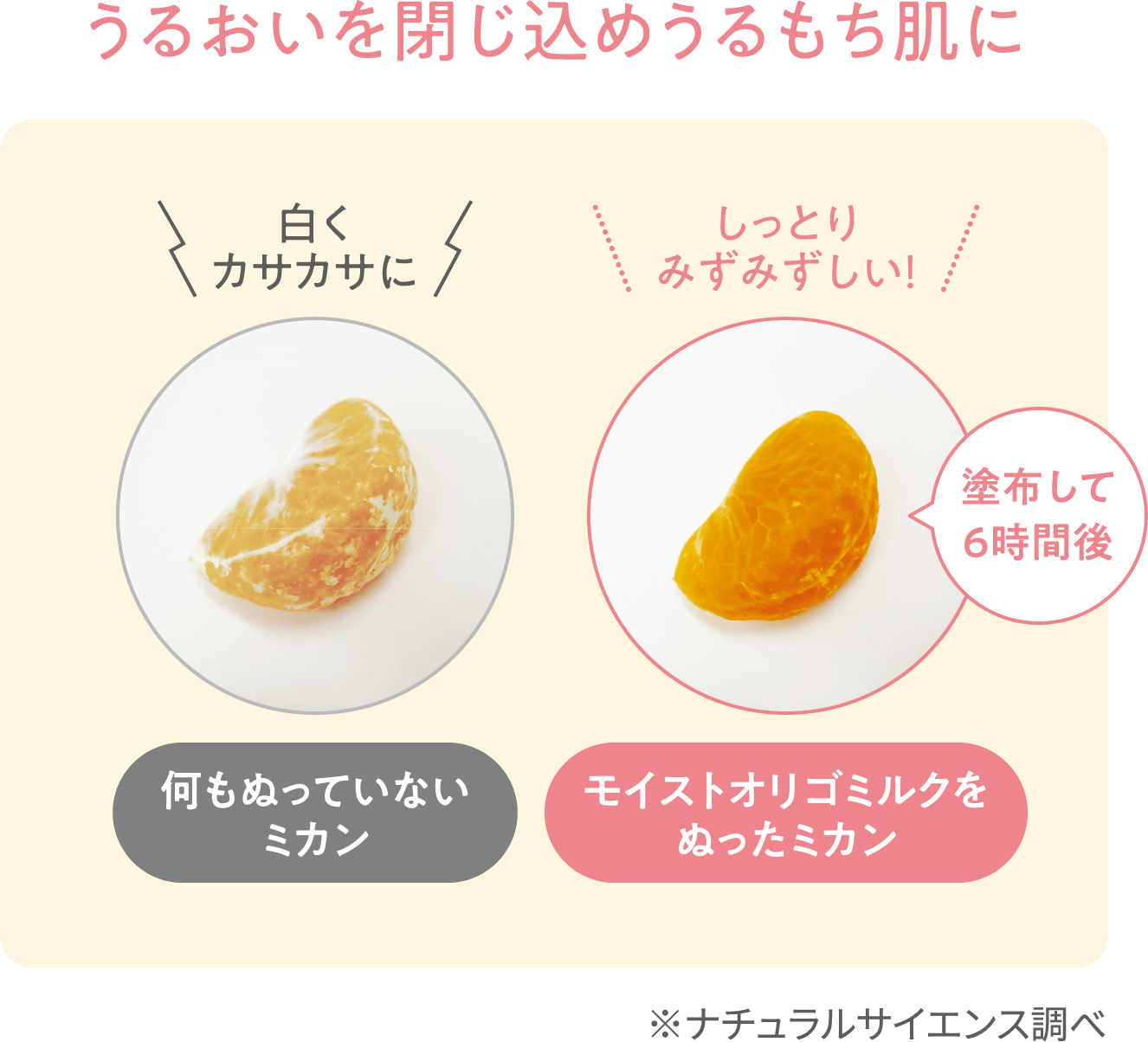 うるおいを閉じ込めうるもち肌に