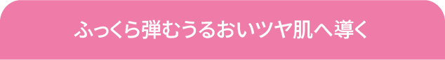 レドナ リッチモイストローション2本