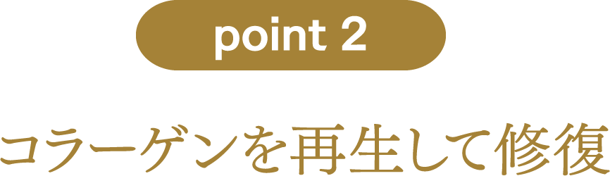 point2：コラーゲンを再生して修復