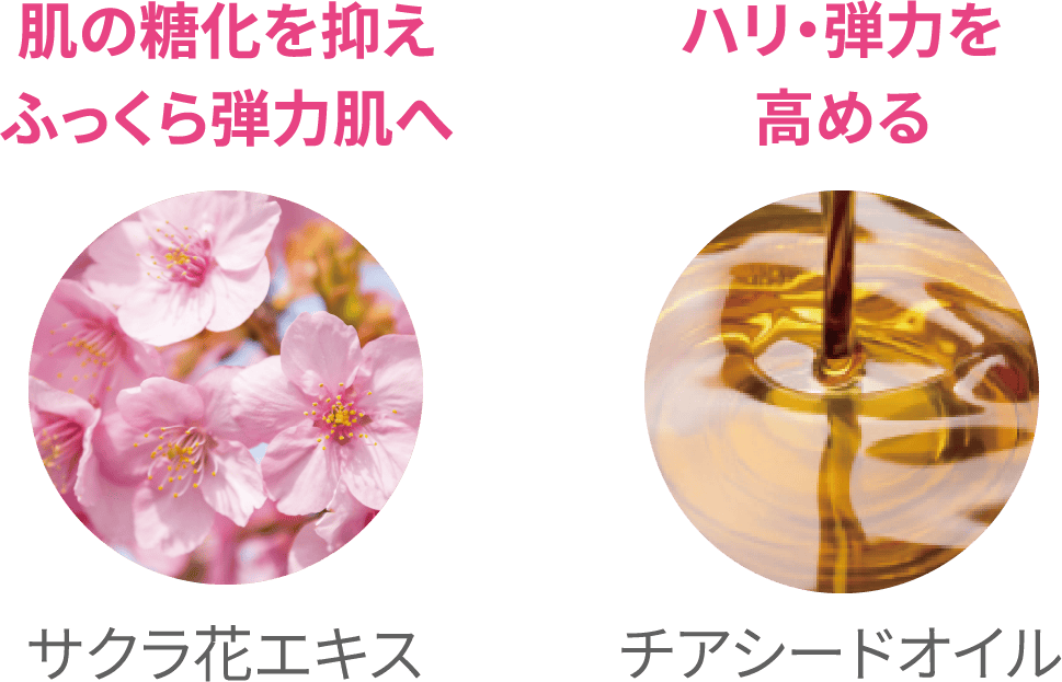 肌の糖化を抑えふっくら弾力肌へ：サクラ花エキス / ハリ・弾力を高める：チアシードオイル