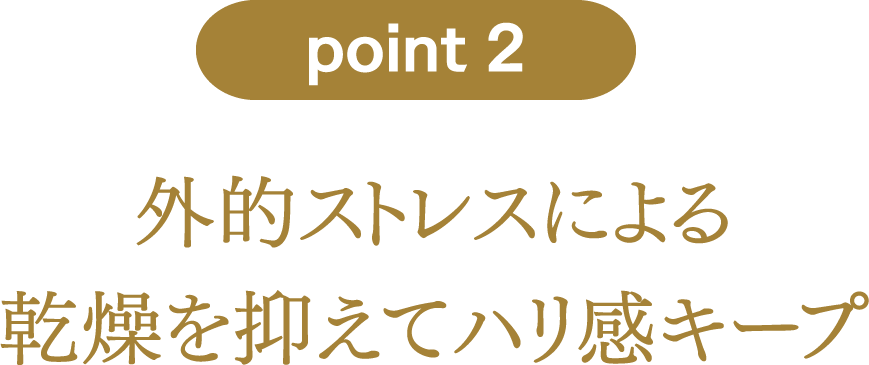 point2：外的ストレスによる乾燥を抑えてハリ感キープ