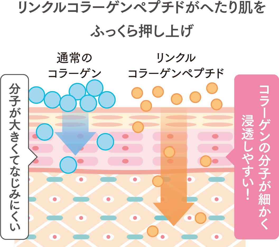 リンクルコラーゲンペプチドがへたり肌をふっくら押し上げ