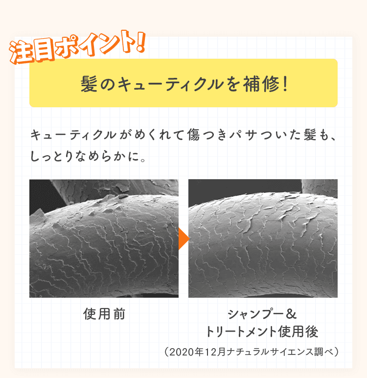 髪のキューティクルを補修