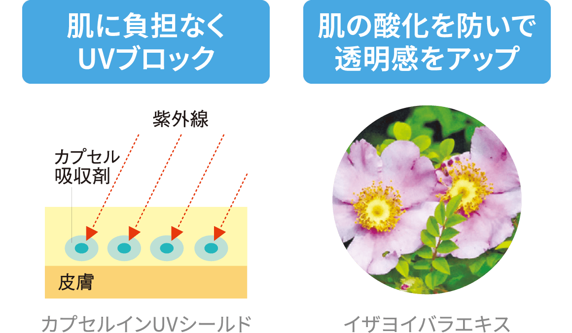 肌に負担なくUVブロック／肌の酸化を防いで透明感をアップ