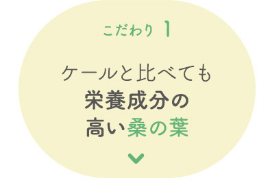 こだわり 1 ケールと比べても栄養成分の高い桑の葉