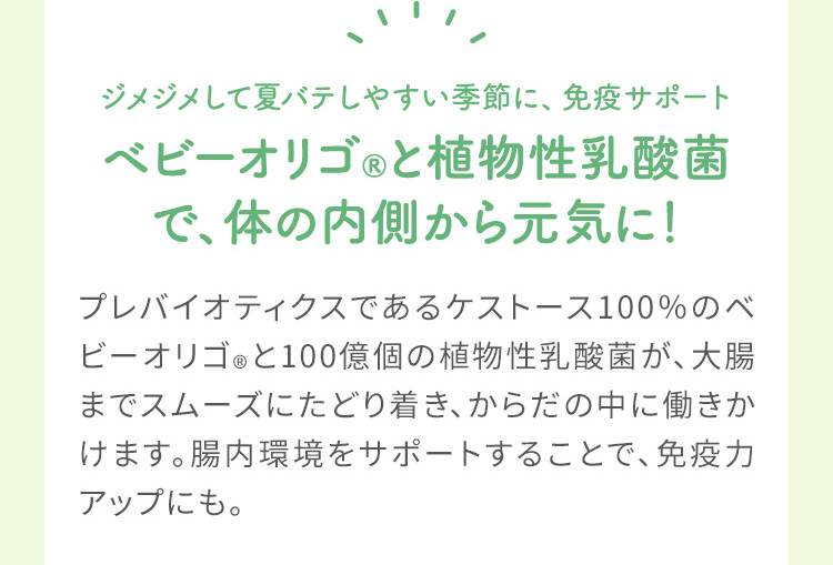 ジメジメして夏バテしやすい季節に、免疫サポート ベビーオリゴ®と植物性乳酸菌で、体の内側から元気に！