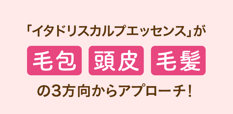 「イタドリスカルプエッセンス」が 毛包 頭皮 毛髪 の3方向からアプローチ！