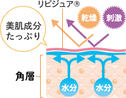 ダブルリピジュア