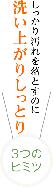 しっかり汚れを落とすのに洗い上がりしっとり