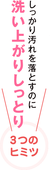 しっかり汚れを落とすのに洗い上がりしっとり