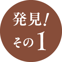 発見！その1
