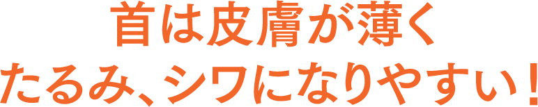 首は皮膚が薄くたるみ、シワになりやすい！