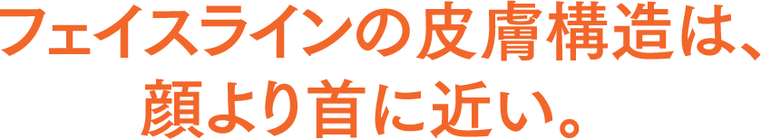 フェイスラインの皮膚構造は、顔より首に近い。
