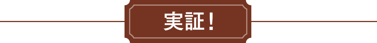 実証！