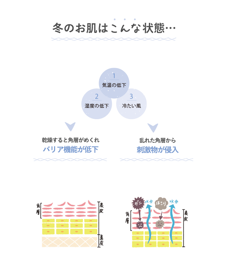 最上級のうるおいケアで調子のいい超しっとり肌へ | 低刺激スキンケア基礎化粧品のナチュラルサイエンス
