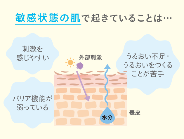 敏感状態の肌で起きていることは･･･