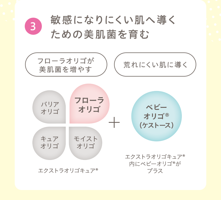 3.敏感になりにくい肌へ導くための美肌菌を育む