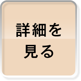 詳細を見る