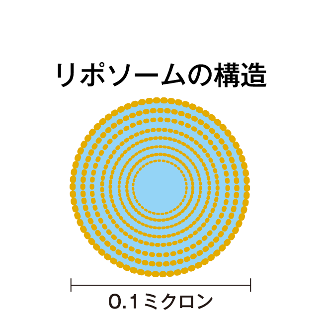 リポソームの構造