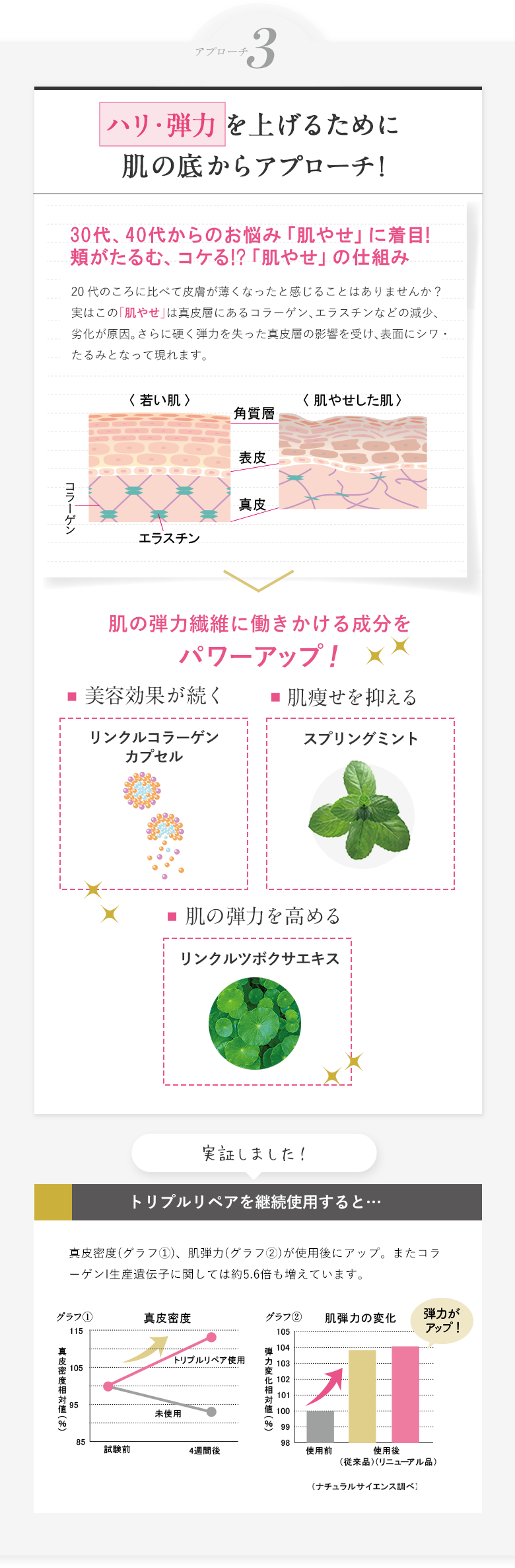 ハリ・弾力 を上げるために肌の底からアプローチ!